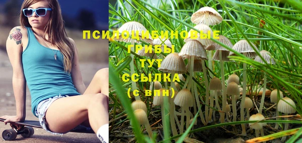 прущая мука Михайлов