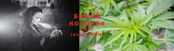 амф Нижний Тагил