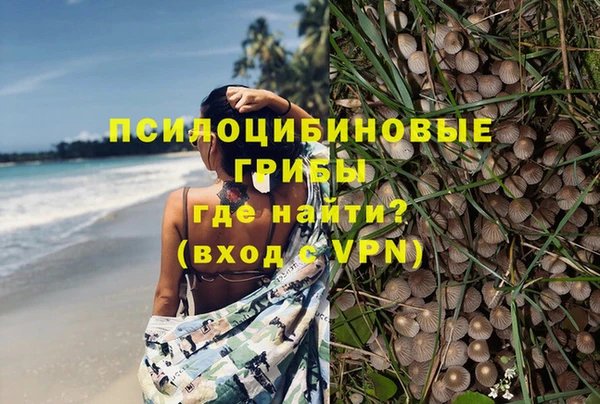 MESCALINE Чита