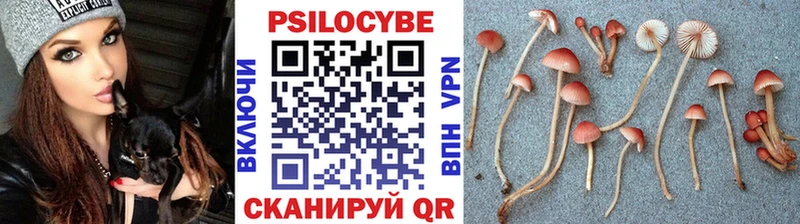 Псилоцибиновые грибы Cubensis  Купить закладки  Котлас 